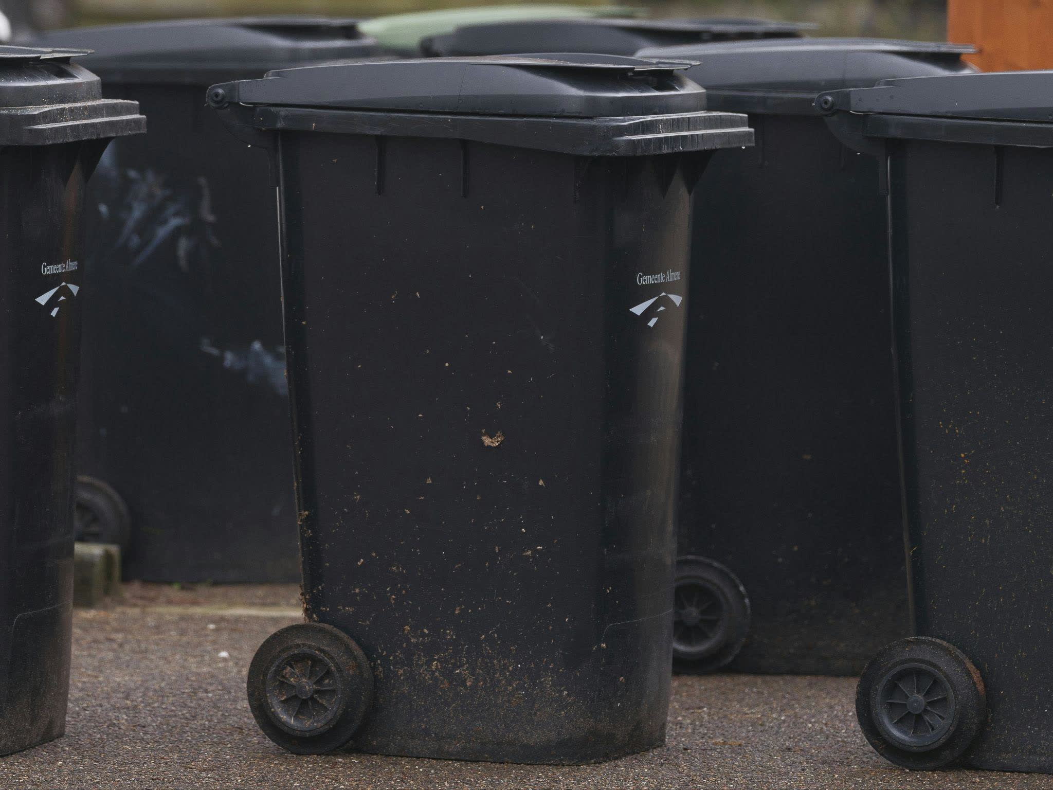 The $50 ticket that starts September 8: what your trash bin has to look like now